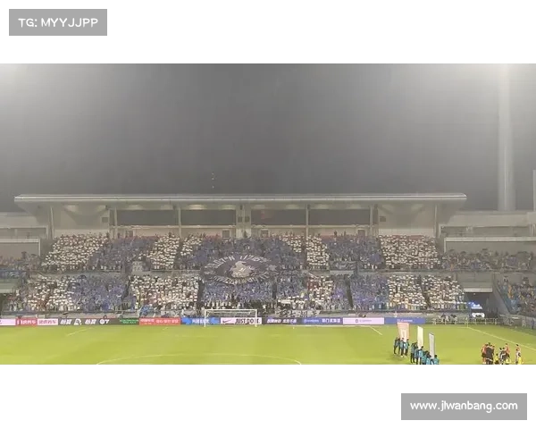 津门虎球迷会创历史!双 TIFO 联动主场震撼亮相 津门虎球迷会创历史!双 TIFO 联动主场震撼亮相